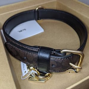 Large Coach leather dog collar
